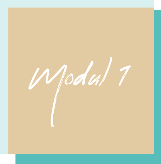 modul-1